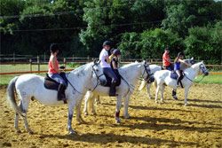 Cours d'équitation au Quart d'Ecu